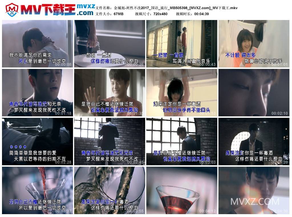 金城旭-死性不改2017_国语_流行_MB505398